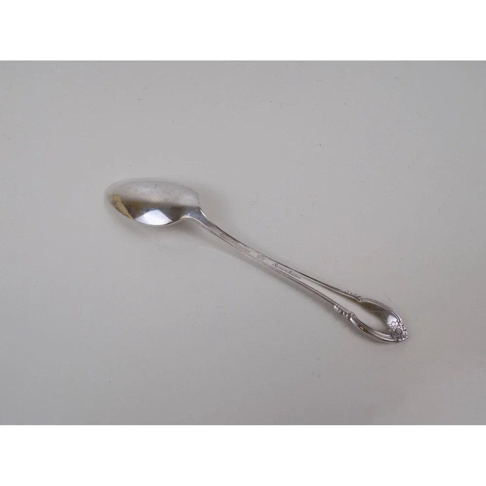 1847 Rogers Bros Remembrance TEASPOON Spoon One (1) International Silver Plate
